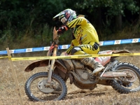 krtz (12)