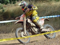 krtz (13)