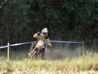 krtz (3)
