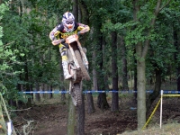 krtz (6)