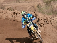 krtz (3)