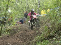 krtz (4)