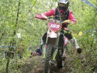 krtz (5)