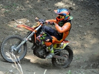 krtz (2)