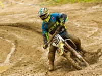 krtz (5)