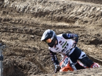 krtz (04)