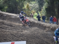 krtz (09)