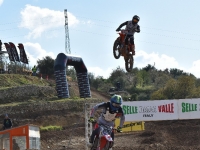 krtz (11)