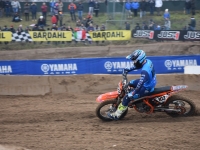 krtz (14)