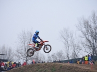 krtz (15)