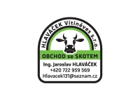 30-hlavacek