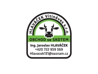 37-hlavacek