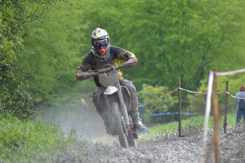 img00037.jpg
