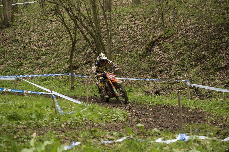 img00095.jpg