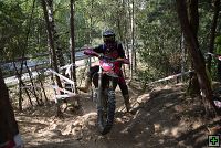 thn00342.jpg