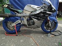 thn00059.jpg